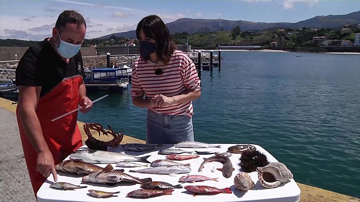 Aquí la Tierra - Aquí la Tierra - 21/06/21