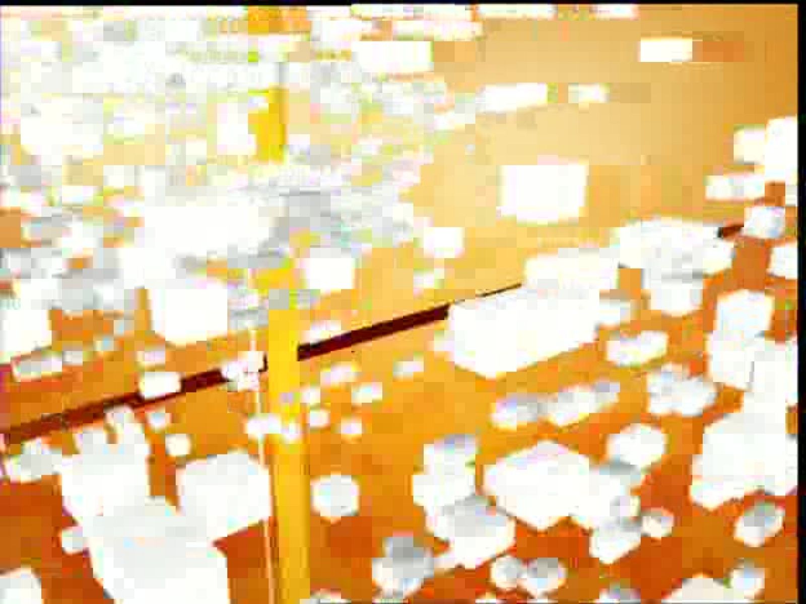 Los desayunos de TVE - 29/09/09 - Los desayunos | Ver