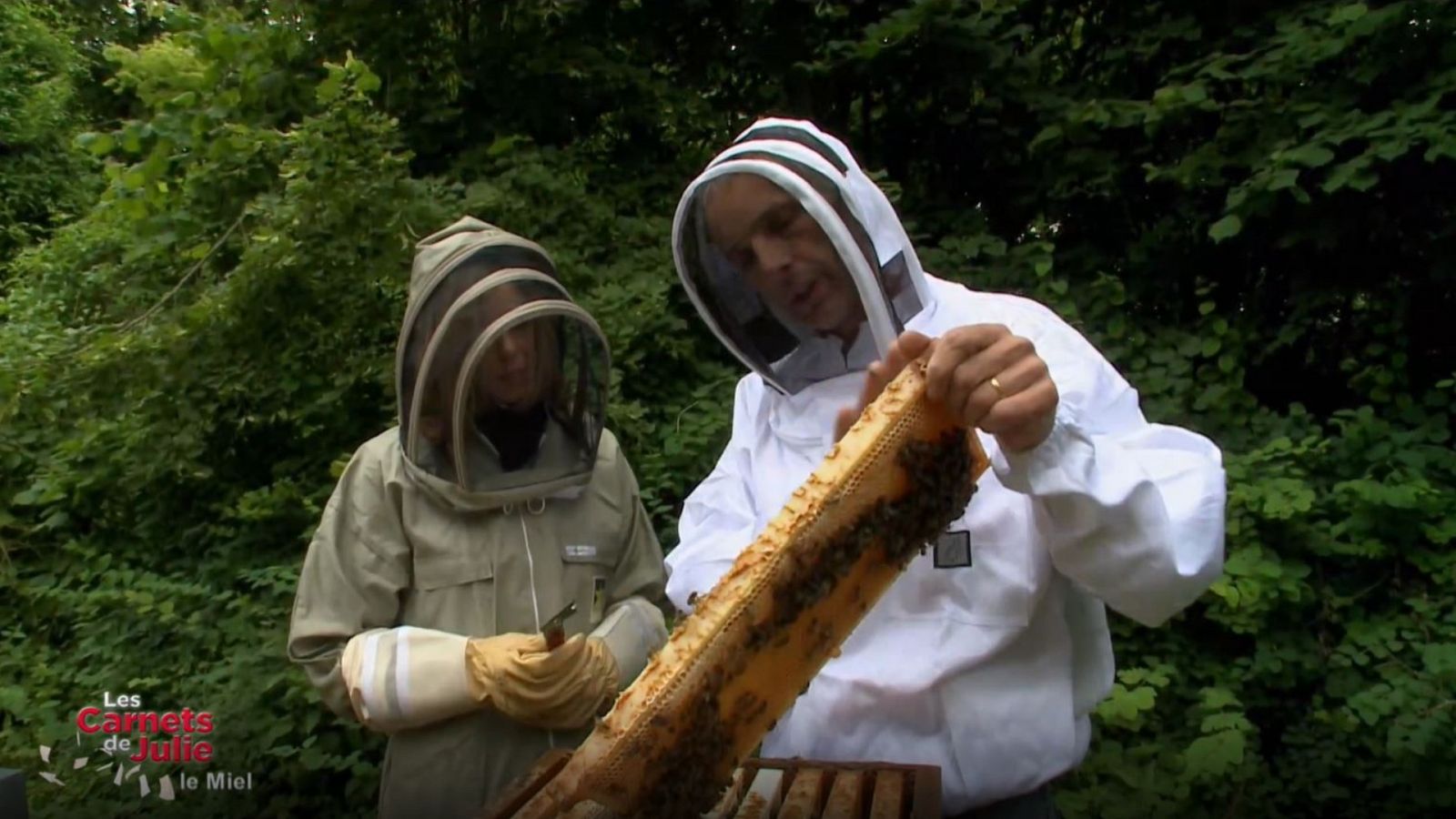 Las recetas de Julie - El gusto de la miel - Documental en RTVE
