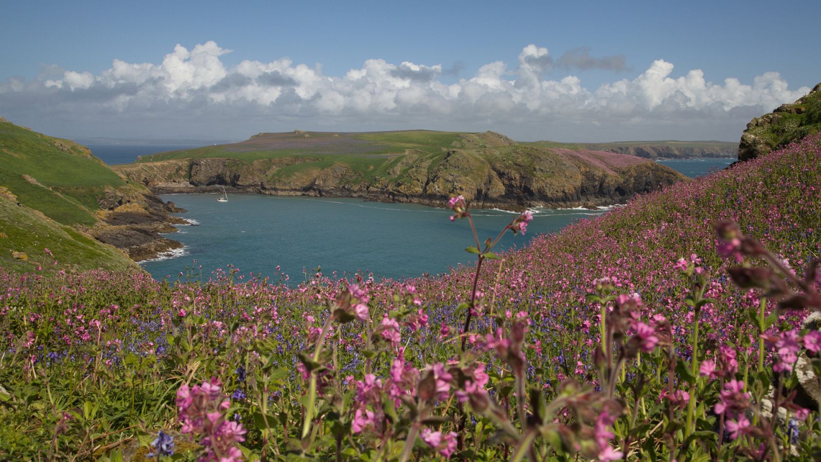 Somos documentales - Gales, el salvaje oeste de Gran Bretaña - ver ahora