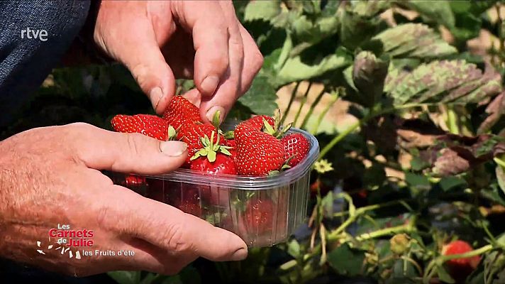 Las recetas de Julie - Los sabores de la fruta
