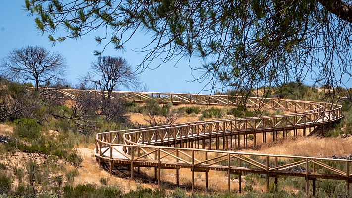 Telediario 1 - La Justicia europea condena a España por haber obviado las extracciones ilegales de agua subterránea en Doñana