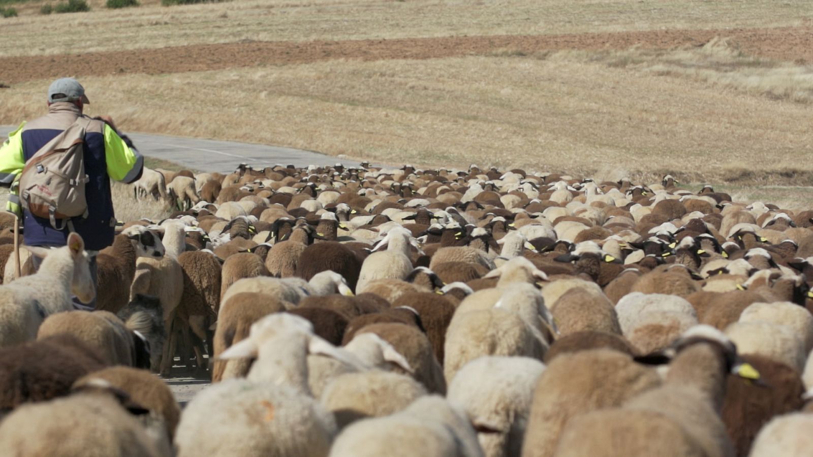 Ruralitas - Xaviña (Coruña) y San Martín de Tábara (Zamora)