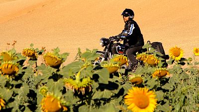 Diario de un n�mada - Ruta por la Espa�a vac�a: Valencia - ver ahora