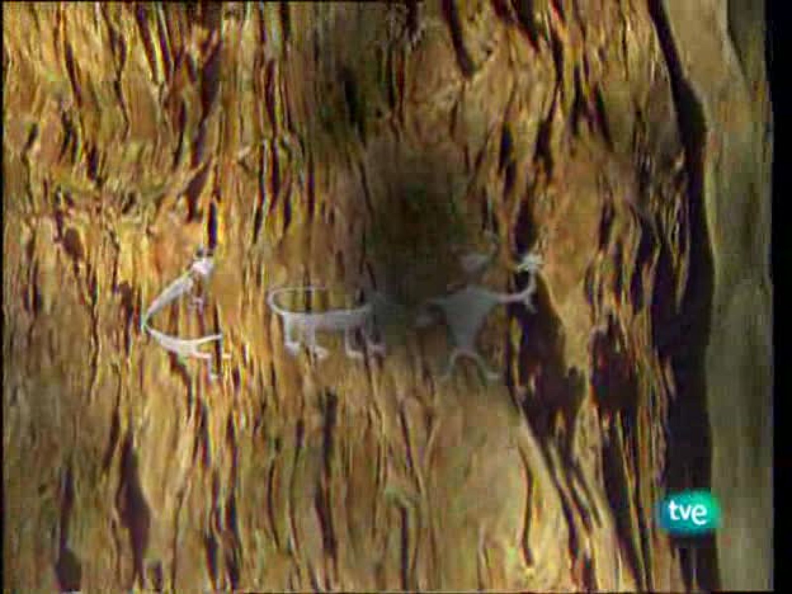 La ruta alternativa - Navegando entre volcanes - La ruta alternativa | Ver