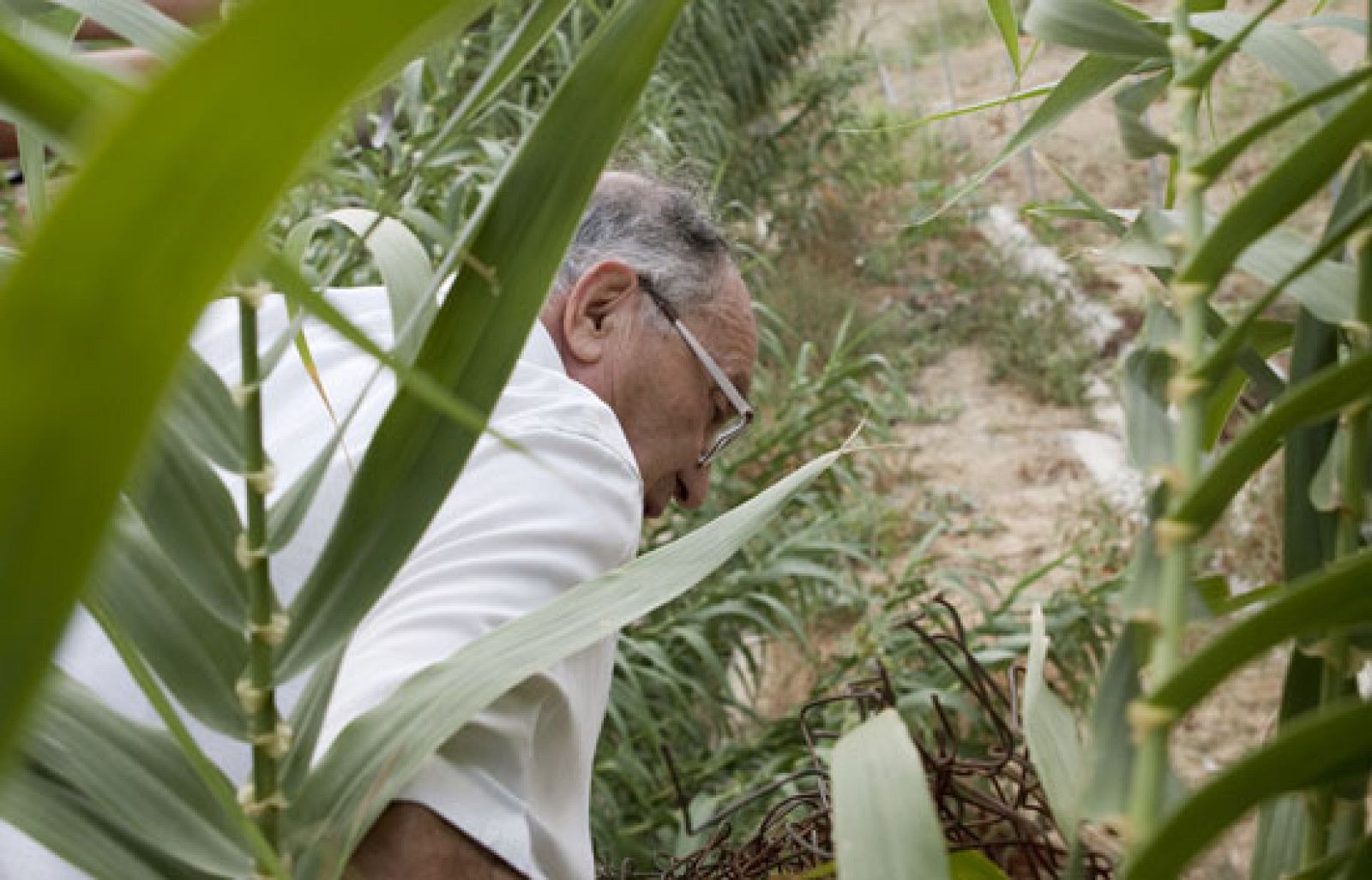 Comienza la búsqueda de Marta del Castillo en la zanja apuntada por la ex novia de Miguel