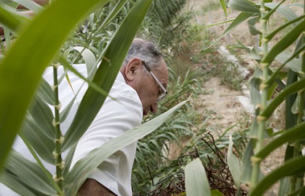  - Comienza la búsqueda de Marta