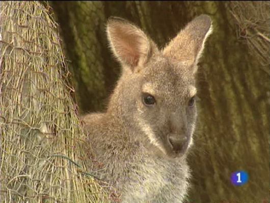 Panorama Regional - Panorama regional - 30/09/09