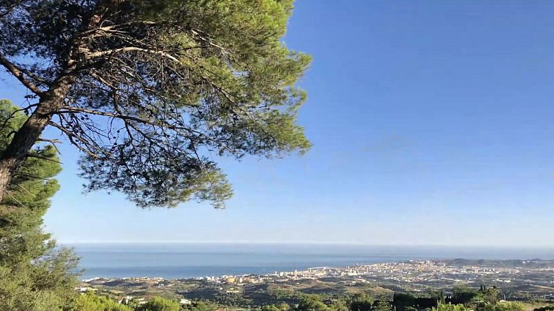 Temperaturas significativamente altas en puntos del valle del Ebro y de la Comunidad Valenciana - ver ahora