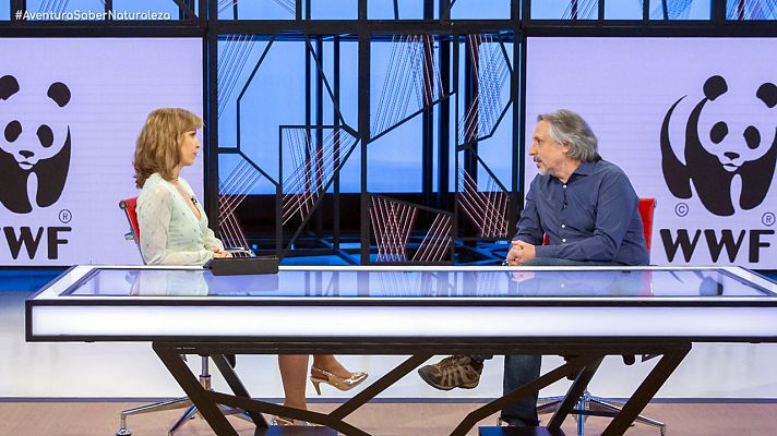 La aventura del Saber - El calentamiento del mar Mediterráneo