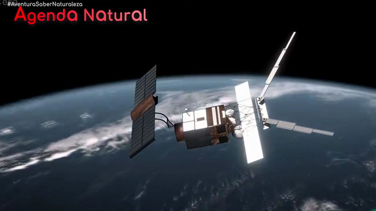 GREENPEACE bisonte urogallo satelites #AventuraSaberNaturaleza