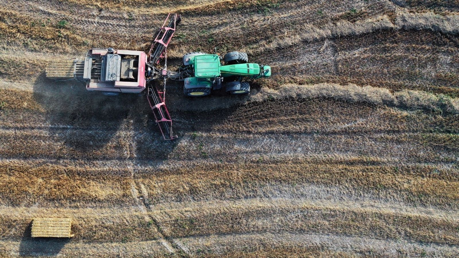 Se disparan los precios del cereal en España
