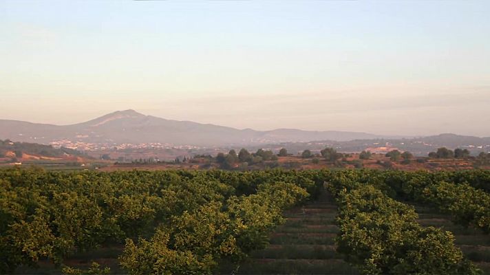 El tiempo - Temperaturas significativamente altas en puntos de la provincia de Málaga