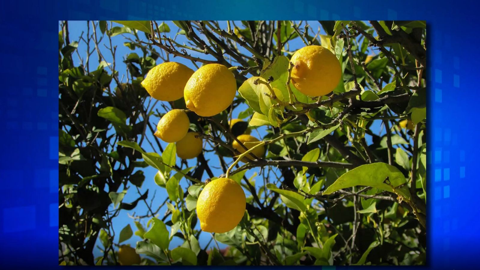 Saber y ganar. Edición de fin de semana - 04/07/21 - ver ahora