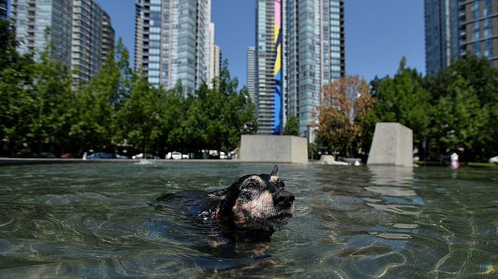 Temperaturas máximas históricas en EE.UU. y Canadá