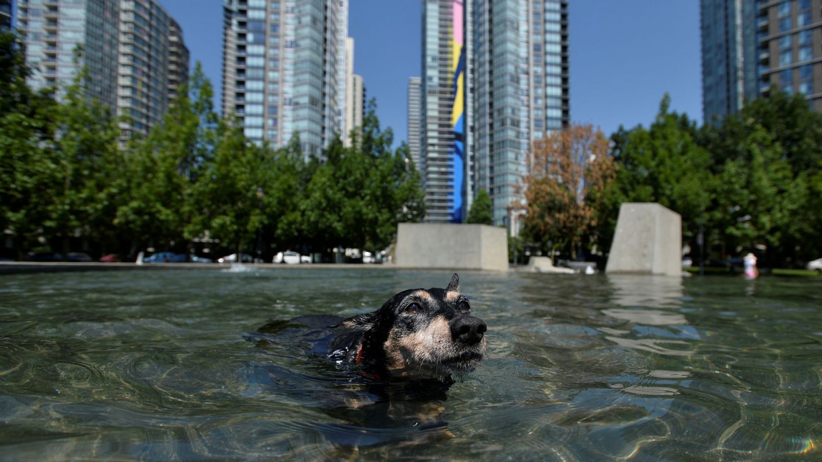 Temperaturas máximas históricas en EE.UU. y Canadá