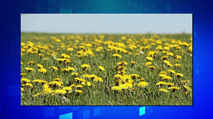 Saber y ganar - Saber y ganar - 05/07/21