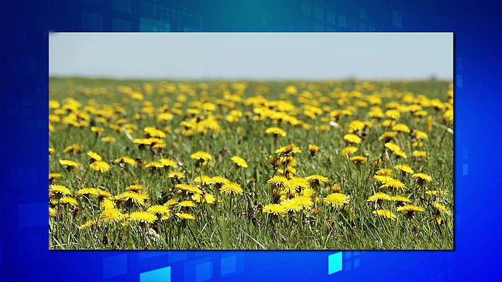 Saber y ganar - Saber y ganar - 05/07/21