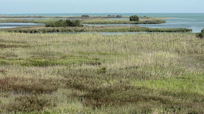 Delta del Ebro (Tarragona)