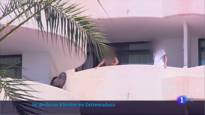 Noticias de Extremadura - Se declaran 8 brotes en Extremadura