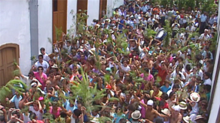 Senderos isleños - El ritmo verde: La Rama