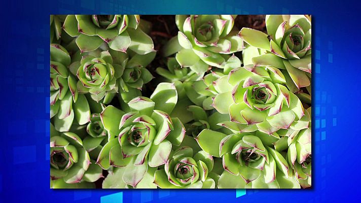 Saber y ganar - Saber y ganar - 07/07/21