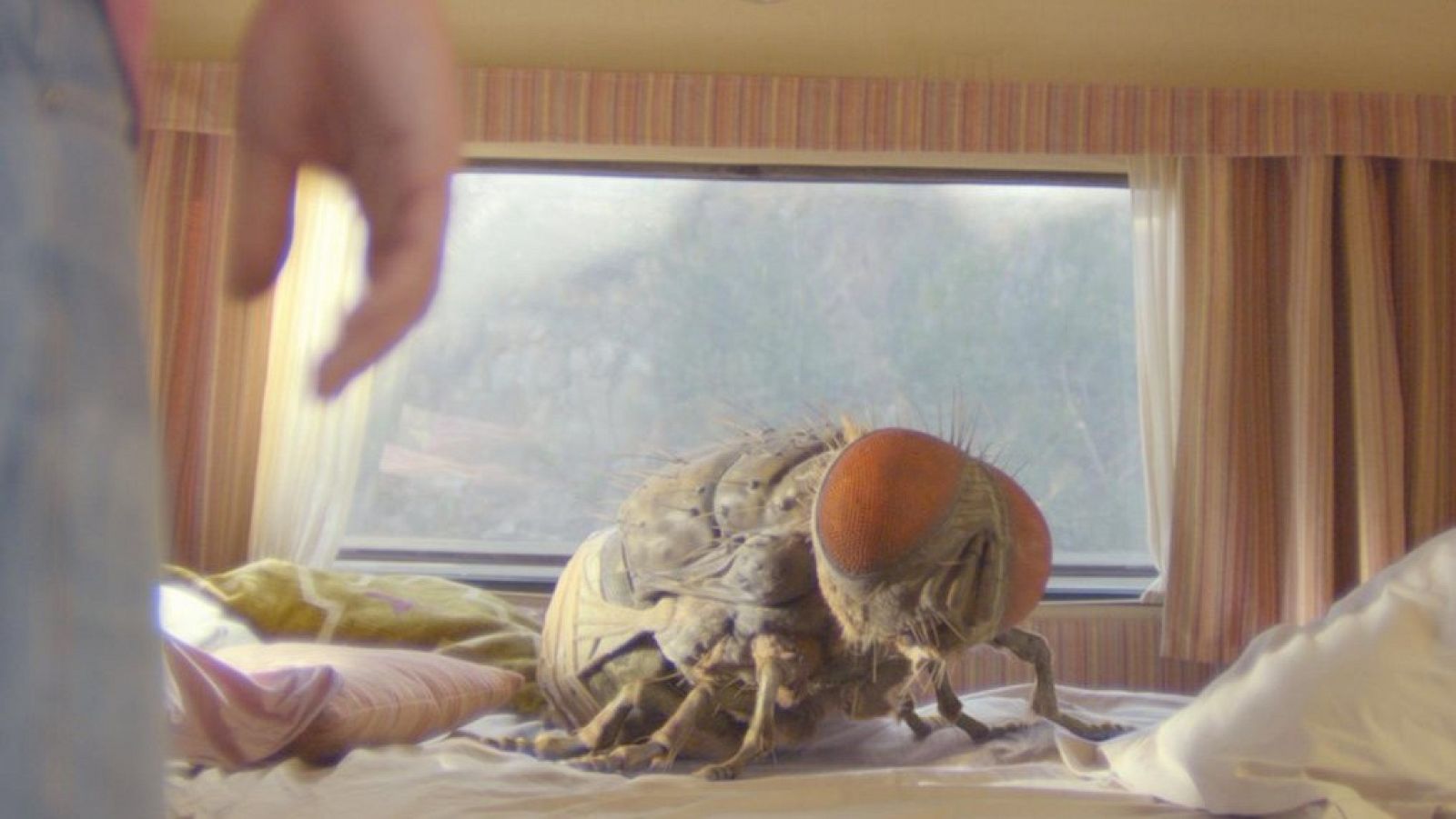 Días de Cine - 'Mandíbulas'