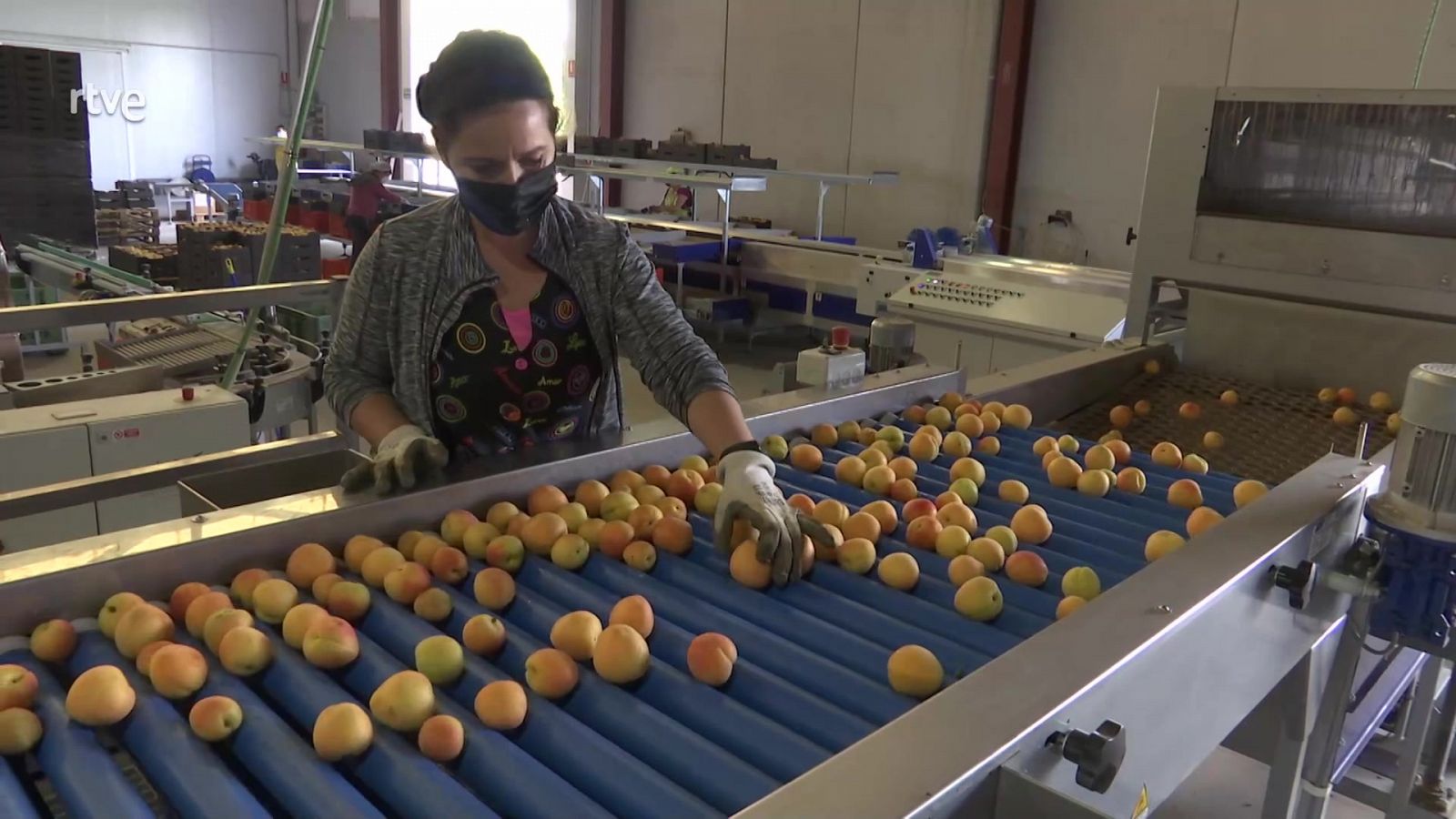 Agrosfera - 03/07/21 - ver ahora