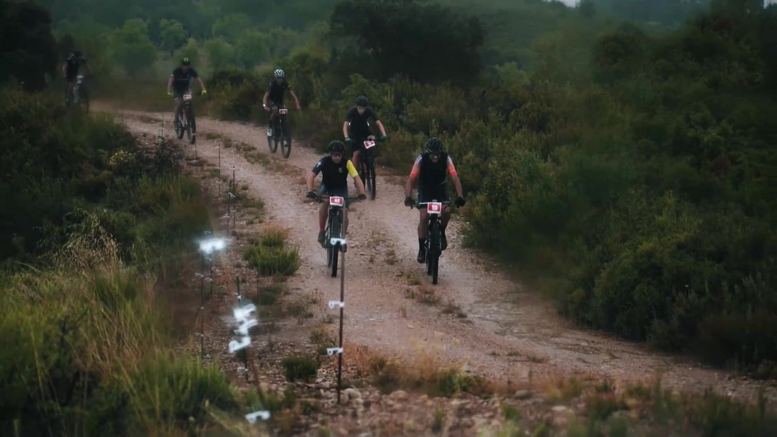 Evasión - T9 - Programa 14 - RTVE Play