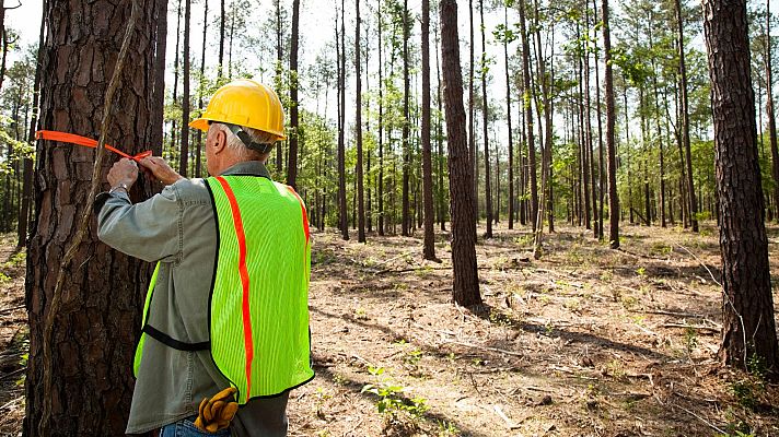 Las elevadas temperaturas acentúan el riesgo de incendios forestales