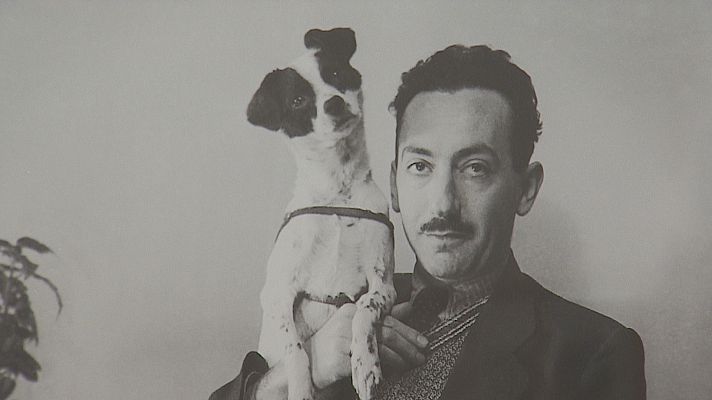 Panorama Regional - La mirada comprometida del retratista Nicolás Muller