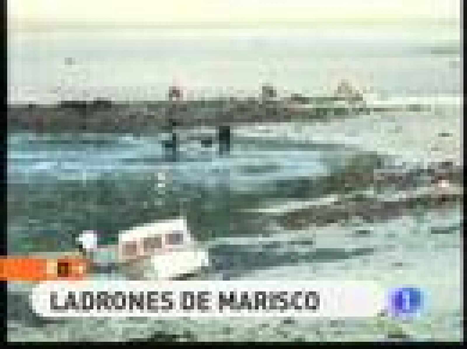 España Directo: Ladrones de marisco | RTVE Play