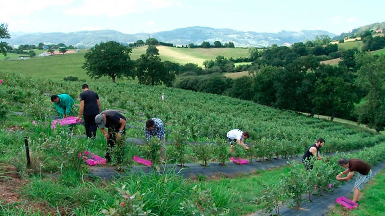 Comando Actualidad - Todo por un jornal - ver ahora