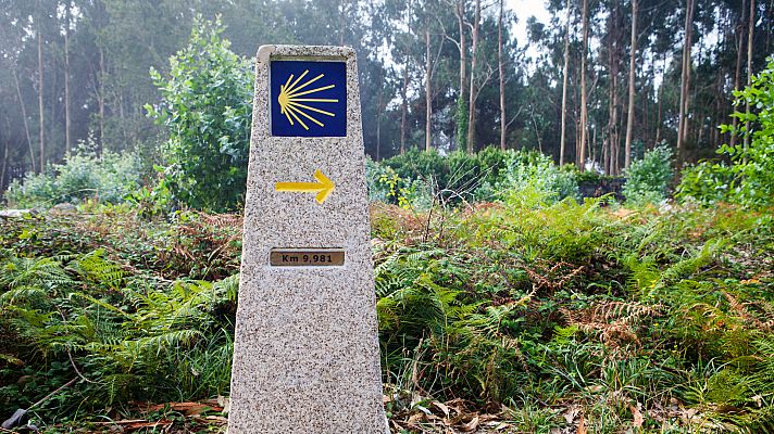 Peregrinación por el Camino Primitivo de Santiago