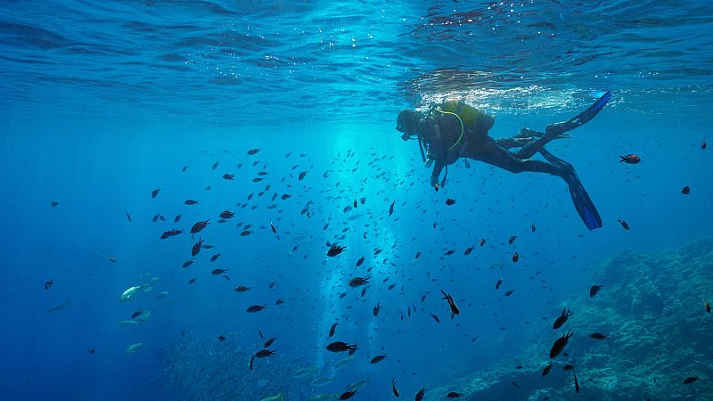 España Directo - Nos sumergimos en la reserva marina de Cabo Tiñoso, ¿te vienes?