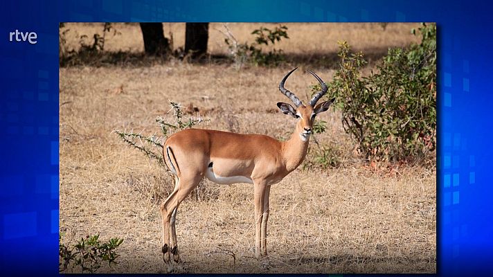 Saber y ganar - Saber y ganar - 13/07/21