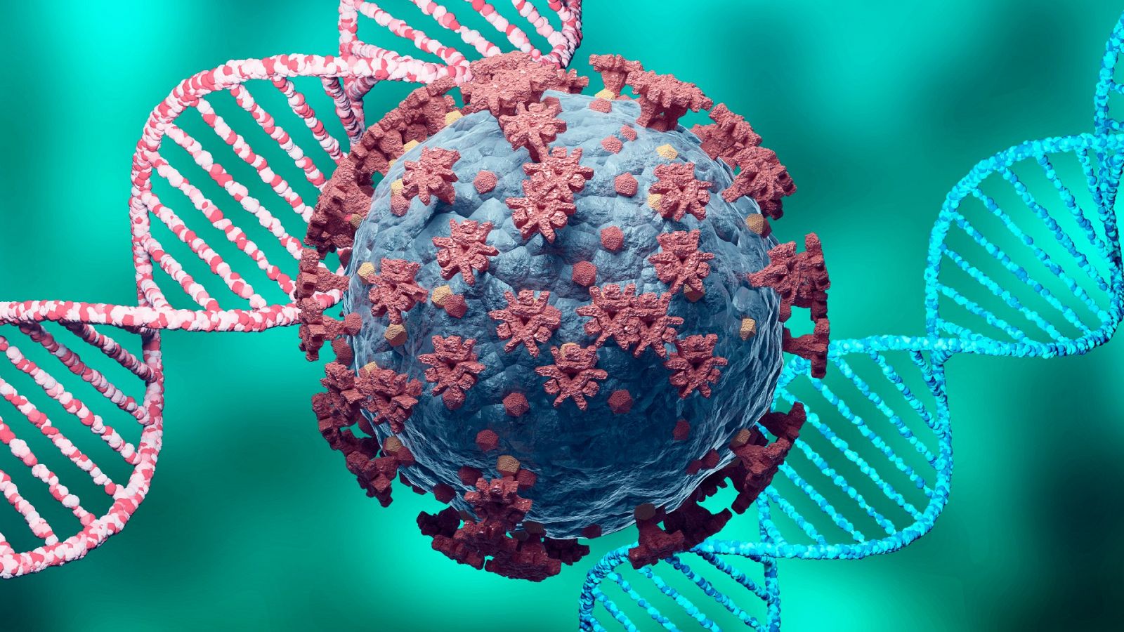 Los genes determinan las posibilidades de contraer coronavirus