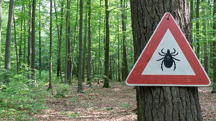 La tarde en 24h - Aumenta el riesgo por picadura de garrapatas en España