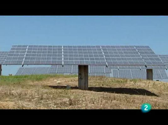 El escarabajo verde - Enchufados al sol