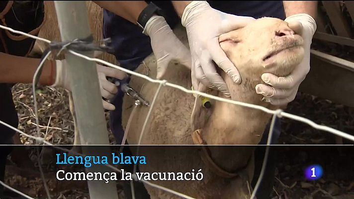 Informatiu Balear - Informatiu Balear en 2' - 12/07/21