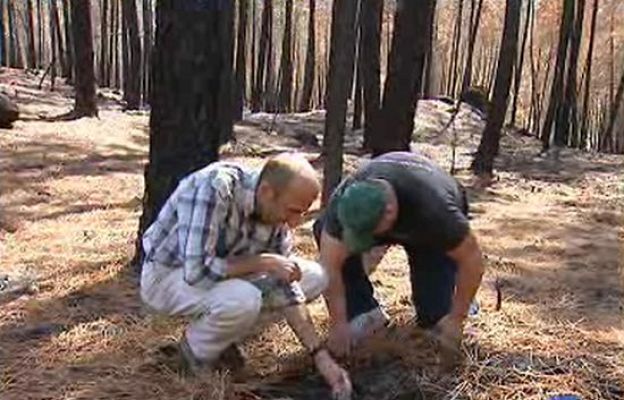 Ciencia y tecnología en Rtve.es - El valle del Tiétar se recupera