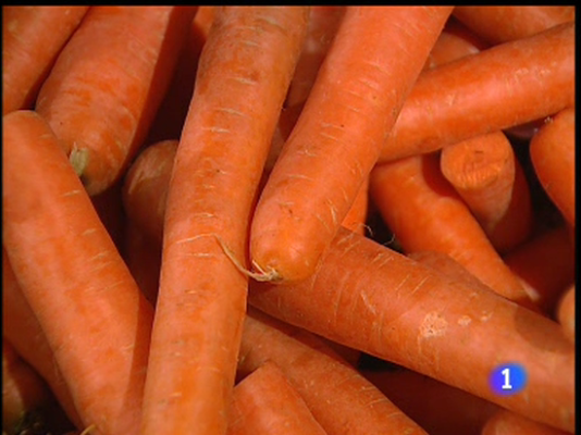 Ciencia y tecnología en Rtve.es - Lo vegetariano, de moda