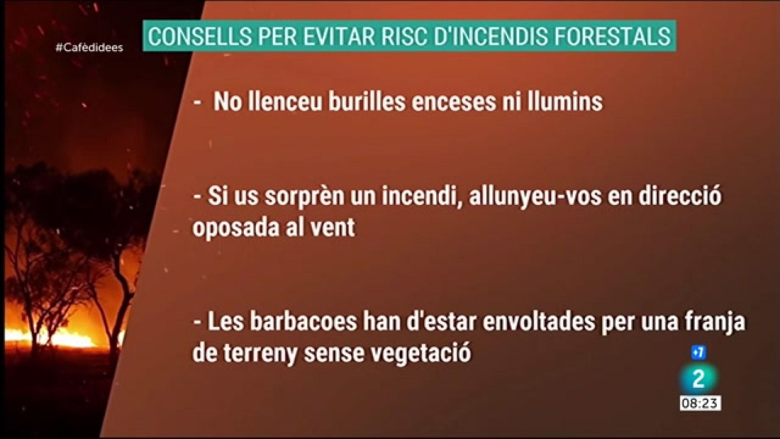 Consells per evitar risc d'incendis forestals