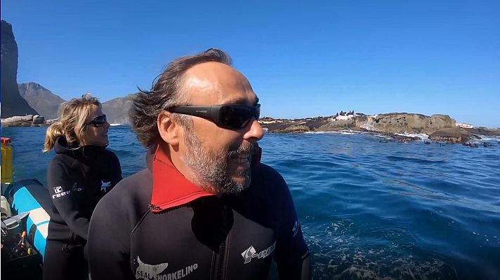 Mi Familia En La Mochila - Family Run - Ruta África: Desde Gansbaai hasta Hout Bay, Ciudad del cabo