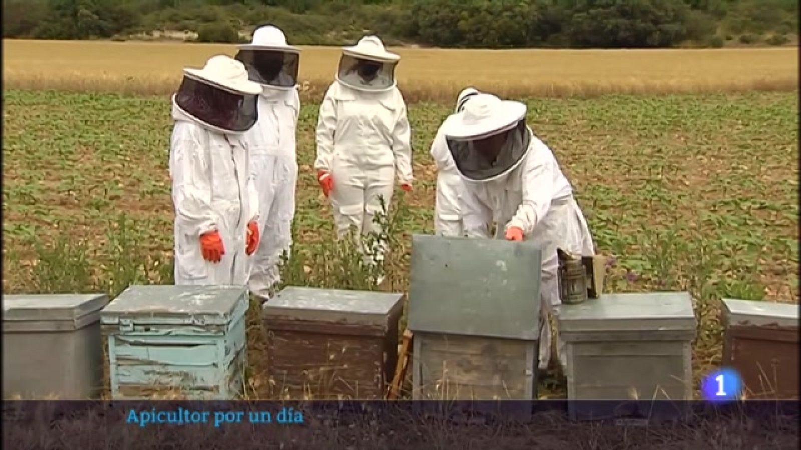 Apicultor por un día