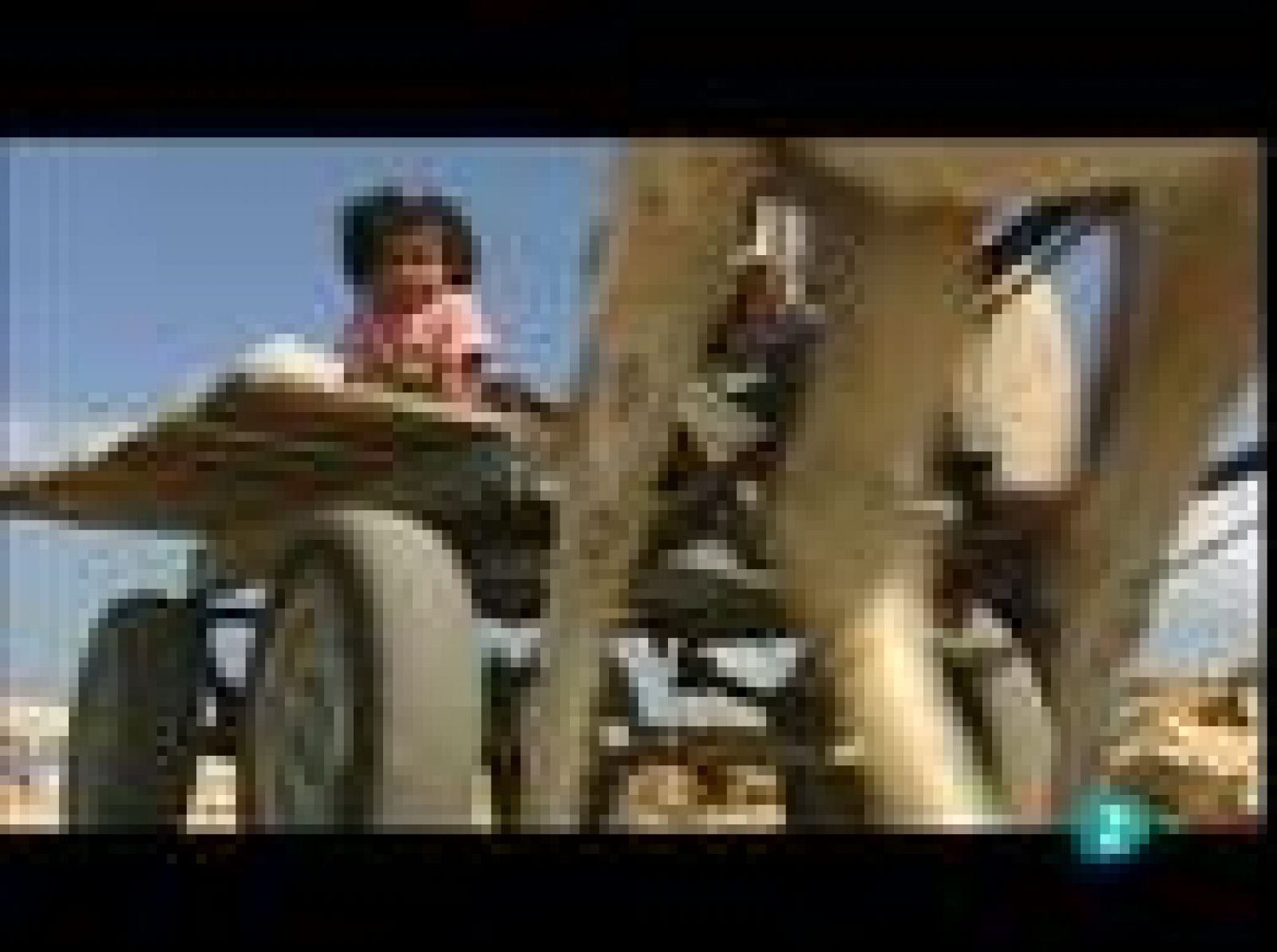 En portada - Los 'Plateros' de Gaza | Ver