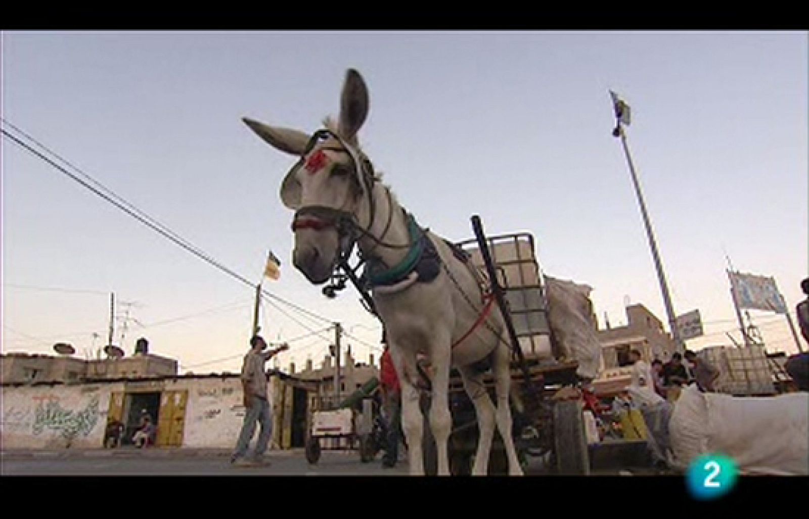 En portada - Los 'Plateros' de Gaza