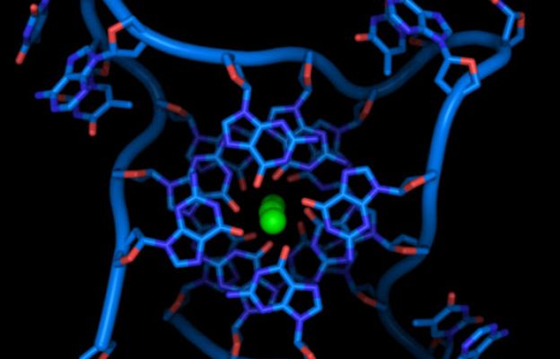Ciencia y tecnología en Rtve.es - Nobel de Medicina 2009