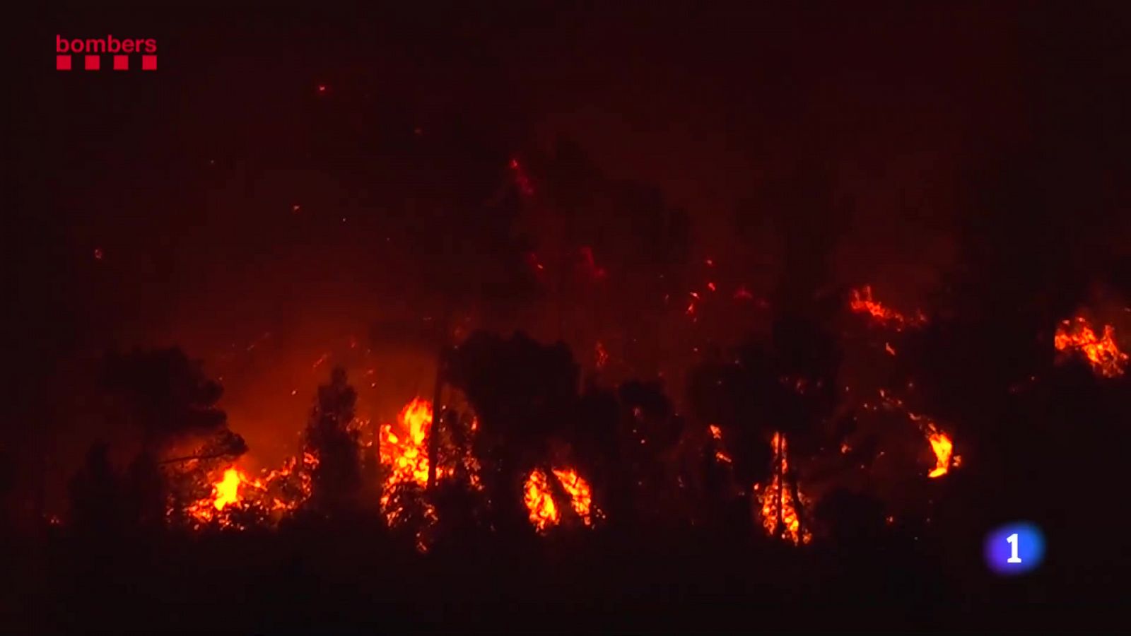 Els Mossos identifiquen el responsable de l'incendi de Castellví de Rosanes