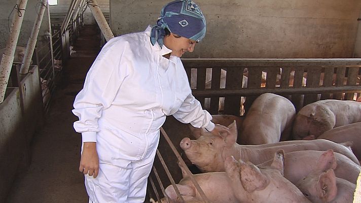 Noticias Aragón - Un centenar de jóvenes se incorporan al campo en Teruel